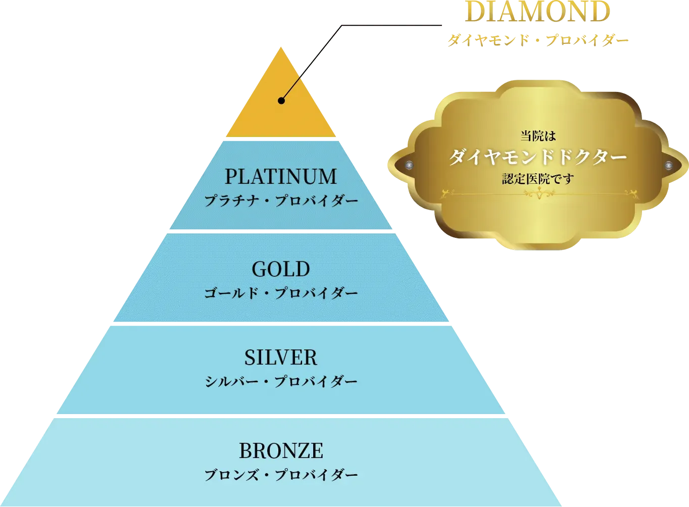 ダイヤモンドプロバイダー